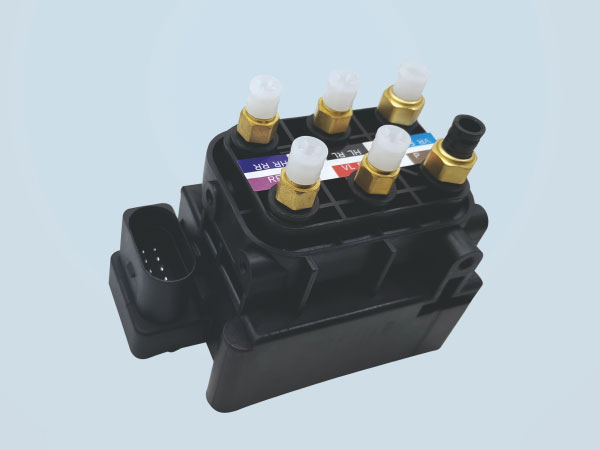 Solenoidal Valvulae